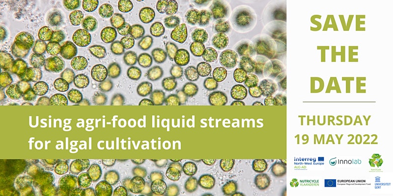 Using agri-food liquid streams for algal cultivation